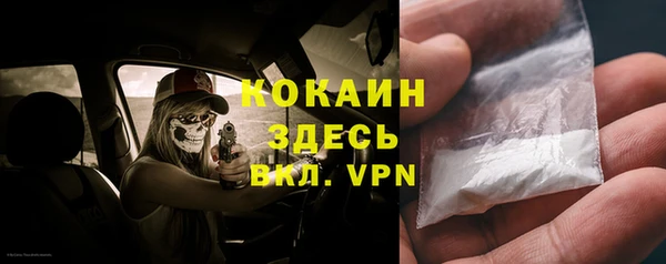 индика Осташков
