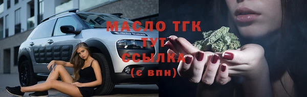 индика Осташков