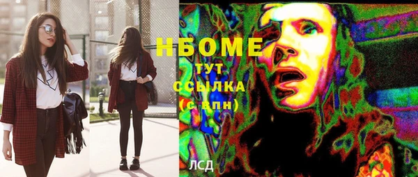 индика Осташков