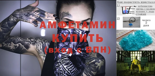 индика Осташков