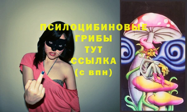 мдпв Остров