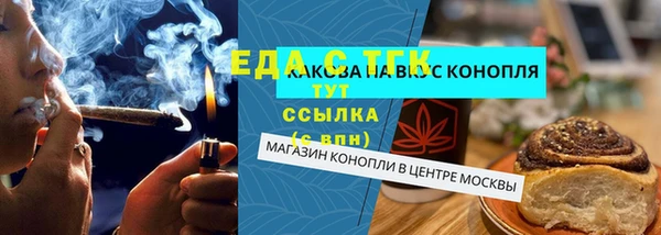 индика Осташков
