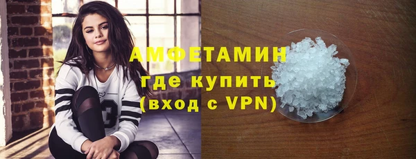 индика Осташков