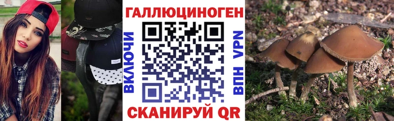 где можно купить Алзамай Галлюциногенные грибы мицелий
